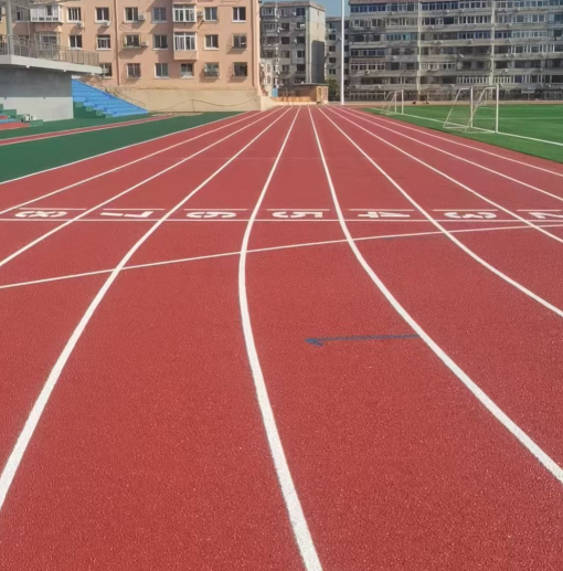东莞市epdm塑胶跑道预制型跑道 - 排名
